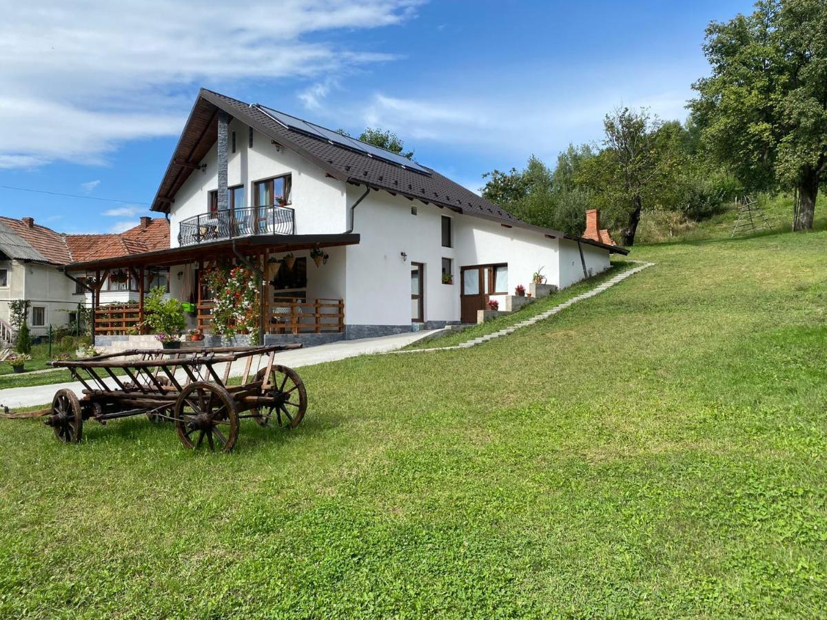 Готель Casa Alex Куртя-де-Арджеш Екстер'єр фото